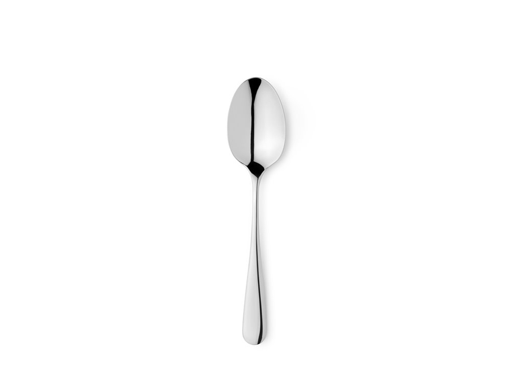Table Spoon Elegance
